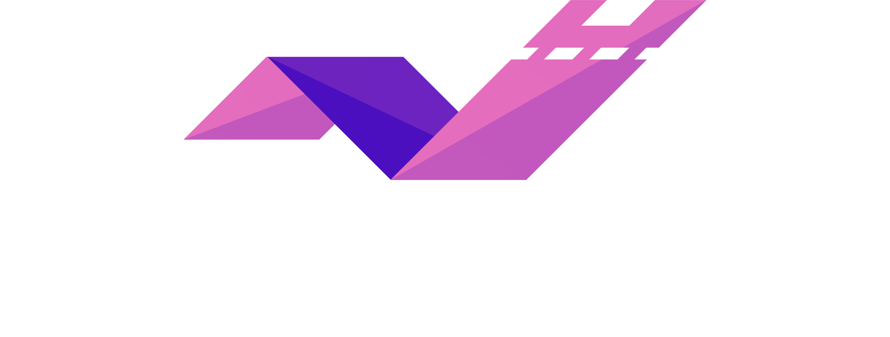 VibraPass Logo